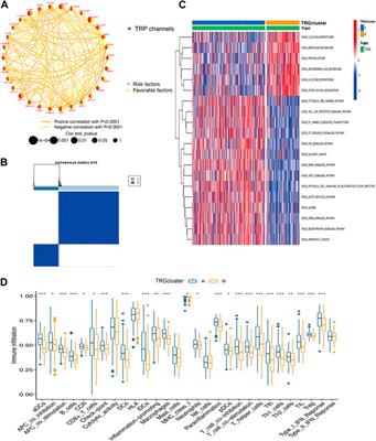 Transient receptor potential channels’ genes forecast cervical cancer outcomes and illuminate its impact on tumor cells